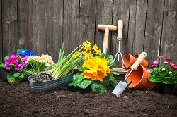 Remarkable Garden Design Service in Swiss Cottage