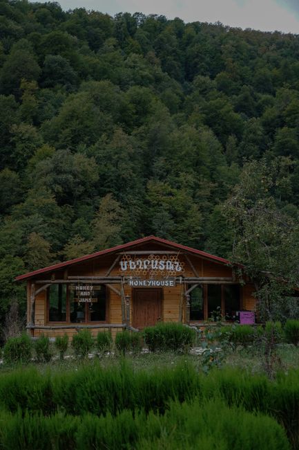 A rustic wooden building labeled 'Honeyhouse' situated at the edge of a lush garden, with a backdrop of densely wooded hills covered in green foliage. The garden features well-maintained grass pathways, neatly trimmed bush borders, and a variety of flowering plants and shrubs. The building's exterior shows natural wood textures, with a small porch area and window openings. The overall scene is set in natural daylight, highlighting the vibrant greenery and the serene outdoor environment, indicating a peaceful garden maintenance or landscaping setting with attention to outdoor care, as provided by Gardeners Swiss Cottage.