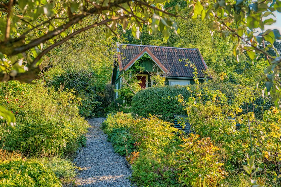 A quaint garden scene featuring a small, charming wooden garden shed with a pitched tiled roof, partially obscured by lush green foliage and flowering plants. The garden is bordered by dense shrubs and hedges, with a gravel pathway winding through the vibrant vegetation. Sunlight filters through the overhanging branches, casting dappled light on the textured soil and well-maintained lawn areas. The scene displays various textures, including smooth gravel, leafy shrubs, and the tiled roof, with tools such as pruning shears or garden rakes visible nearby, indicating ongoing garden maintenance by Gardeners Swiss Cottage. The layout suggests careful landscaping, with defined garden beds and a peaceful outdoor environment perfect for outdoor care or garden upkeep activities, aligning with the theme of the Swiss Cottage gardeners guide to Adelaide Road gardens.